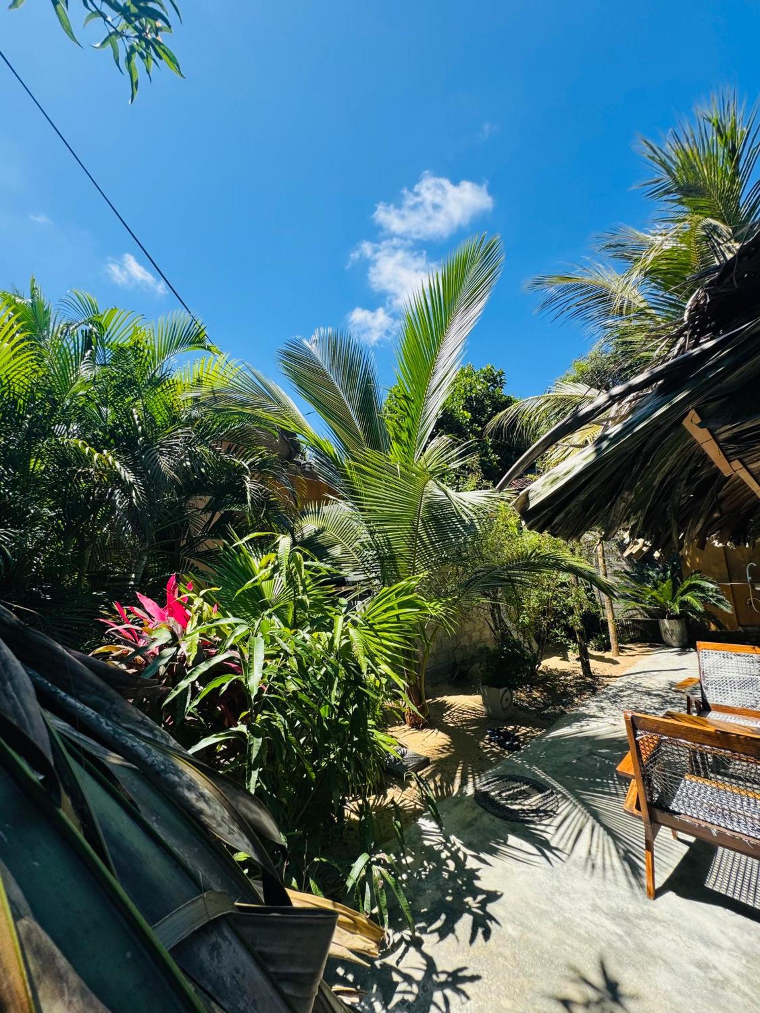 Dreamy Hostel Arugambay Arugam Bay Exterior foto