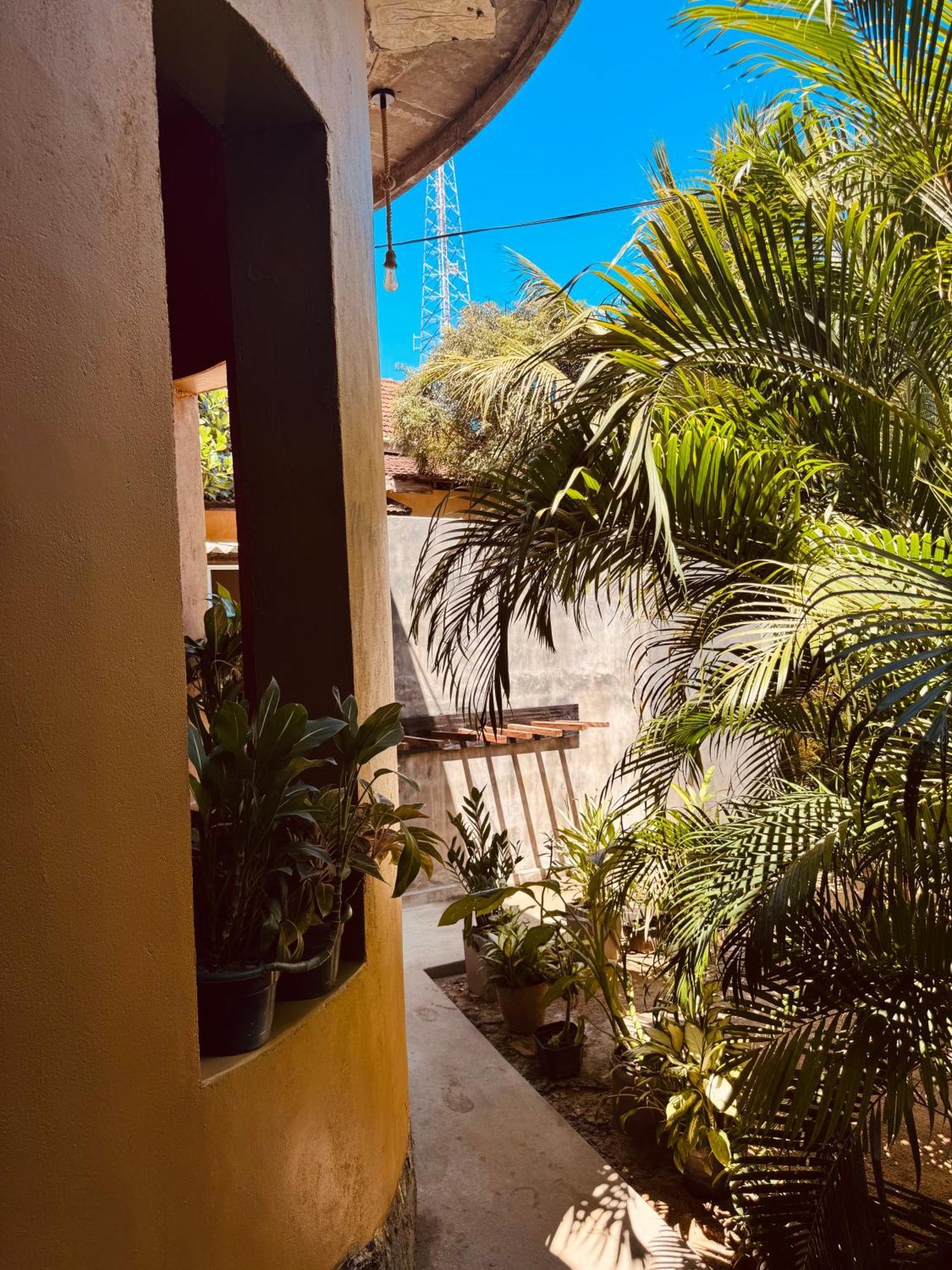 Dreamy Hostel Arugambay Arugam Bay Exterior foto